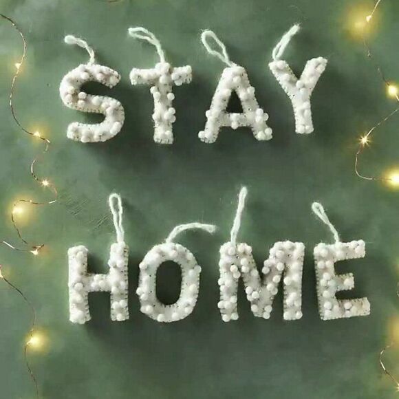 ANTHROPOLOGIE Holly Pommed Ornament Letter V - Picture 3 of 4